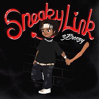 3Breezy – Sneaky Link